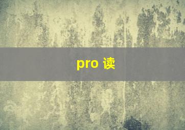 pro 读